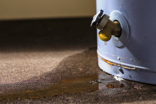 Best 24/7 water damage repair  in Canyon Day, AZ