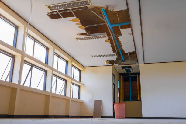 Best Flooded house restoration  in Canyon Day, AZ