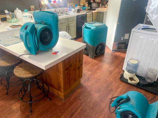 Reliable AZ Water damage restoration Solutions