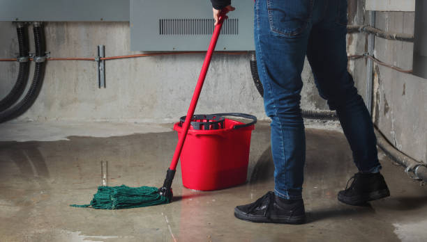 Best Fire Damage Restoration  in Canyon Day, AZ