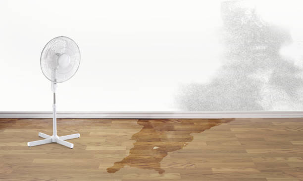 Best Carpet water damage restoration  in Canyon Day, AZ
