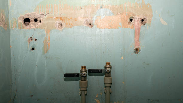 Best Local water damage restoration  in Canyon Day, AZ
