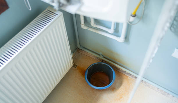 Best Mold removal after water damage  in Canyon Day, AZ