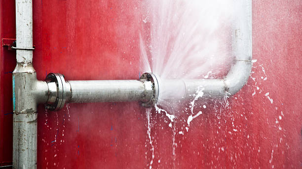 Best Water damage mitigation services  in Canyon Day, AZ